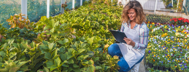 Especialização em Manejo de Doenças de Plantas