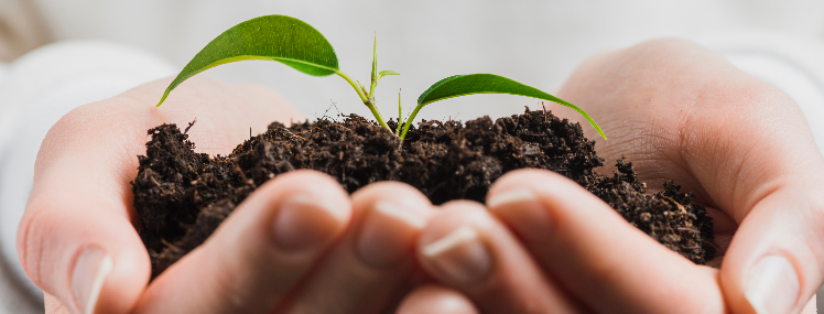Especialização em Biodiversidade